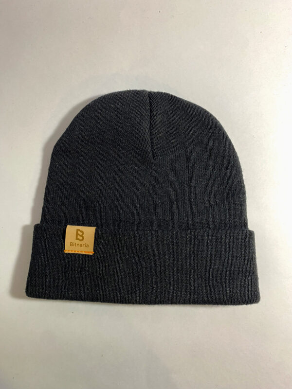 Gorro [Bitcoin NASA] - Image 3