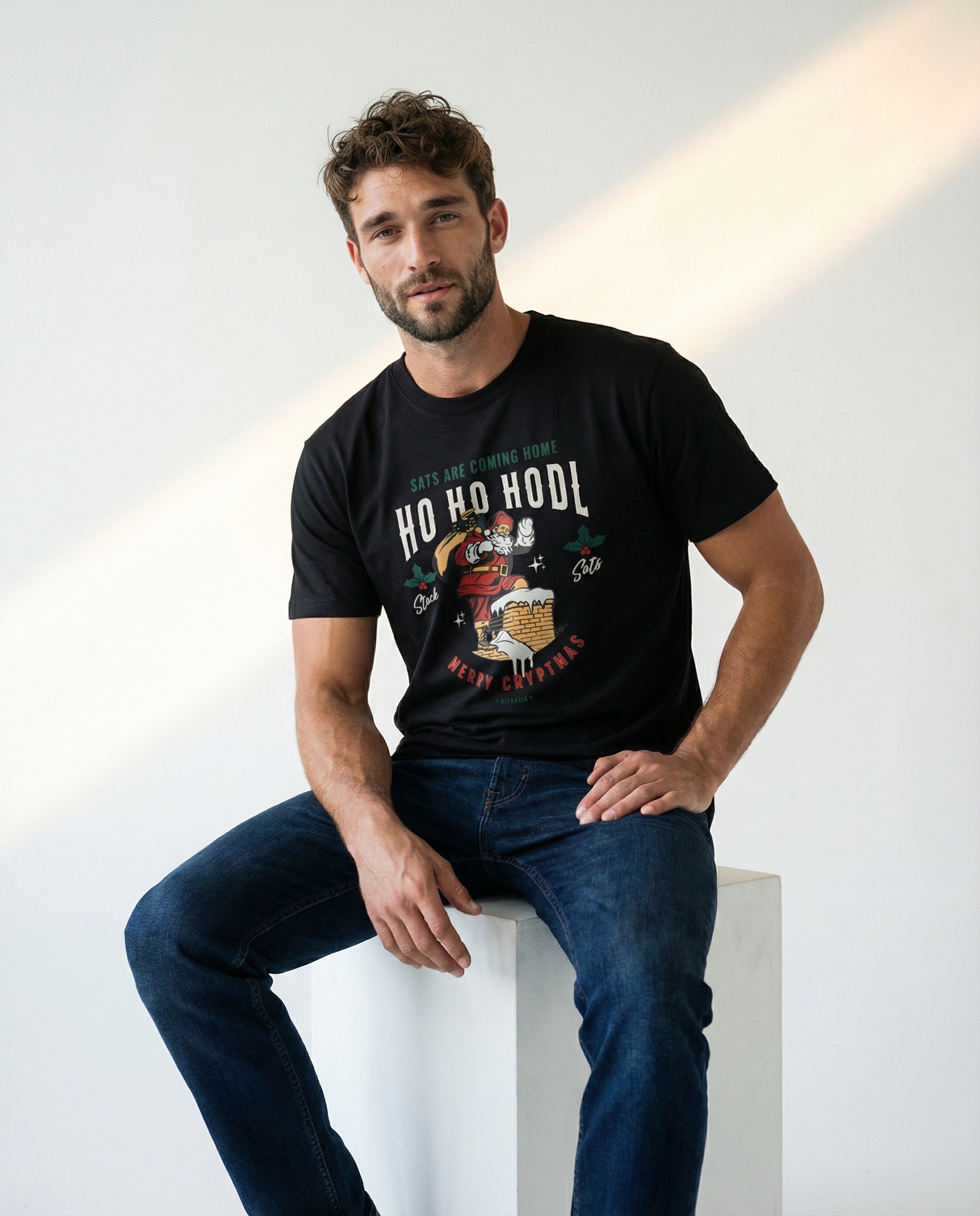 Merry Cryptmas Ho Ho HODL - Image 4